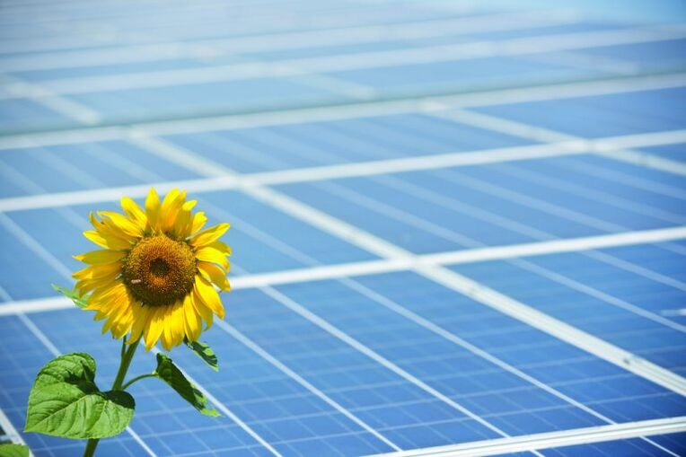girasole e pannelli solari per risparmiare energia